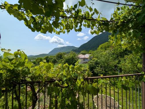 a view of the mountains from a vineyard through a fence at Guest House Roba in Gordi