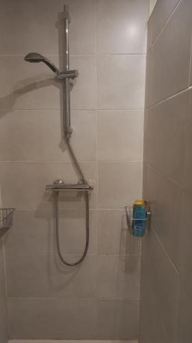 une douche dans une salle de bain avec une pomme de douche dans l'établissement Chambre privée, à Villenave-dʼOrnon