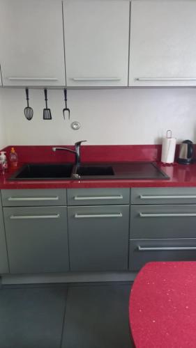 - une cuisine avec un évier et un comptoir rouge dans l'établissement Chambre privée, à Villenave-dʼOrnon