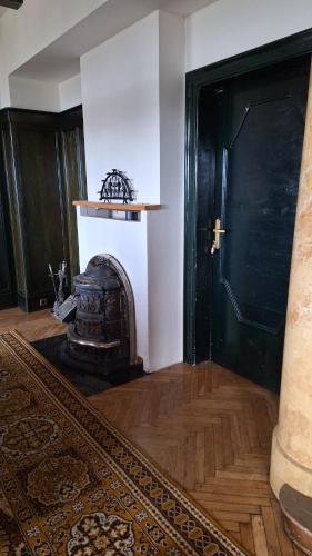 a living room with a fireplace and a black door at Rachmannova vila s bazénem in Nový Bor