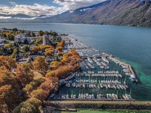 an aerial view of a marina on a lake at Charming studio between lakes and mountains in La Biolle