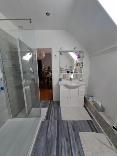 a bathroom with a shower and a sink at Chambre chez l habitant à 10 mn de aéroport 