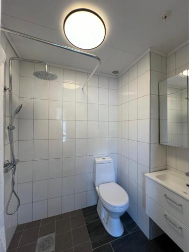 a bathroom with a toilet and a sink and a shower at Åndalsnes house in Åndalsnes
