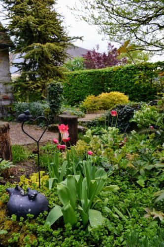 a garden with flowers and plants in a yard at Gîte de charme proche du Zoo Beauval et Châteaux in Pontlevoy