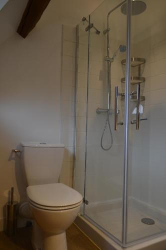 a bathroom with a toilet and a glass shower at Gîte de charme proche du Zoo Beauval et Châteaux in Pontlevoy
