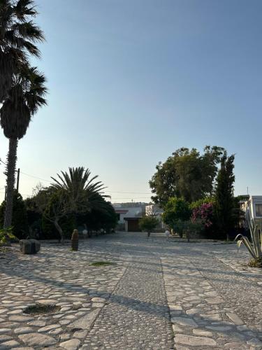 Gambar di galeri bagi Αthena apartments di Kefalos