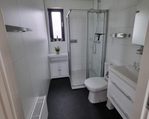 a bathroom with a shower and a toilet and a sink at Enkhuizer Strandchalet Nr 257 in Enkhuizen