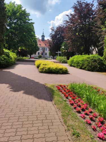 Zahrada ubytování Apartament Lacus