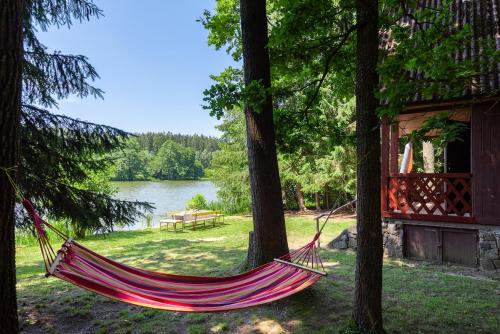 a hammock hanging from two trees near a lake at FOREST, lake, FIREFLIES, campfire - WHAT ELSE in Jindrichuv Hradec