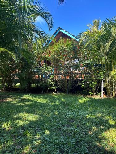 a yard with palm trees and a house at Hare Village in Hanga Roa