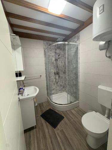 a bathroom with a shower and a toilet and a sink at Apartmani Lešić Zaklopatica in Lastovo
