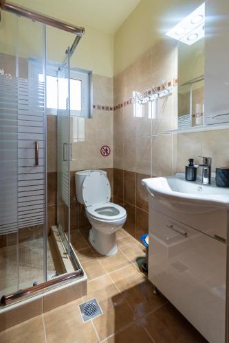 a bathroom with a toilet and a shower and a sink at Themis Home in Mesimvría