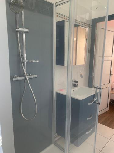 une salle de bain avec douche et lavabo dans l'établissement Logement proche gare , tram direct circuit, au Mans