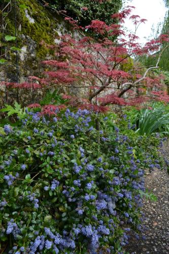 a garden with purple and blue flowers at Gîte de charme proche du Zoo Beauval et Châteaux in Pontlevoy