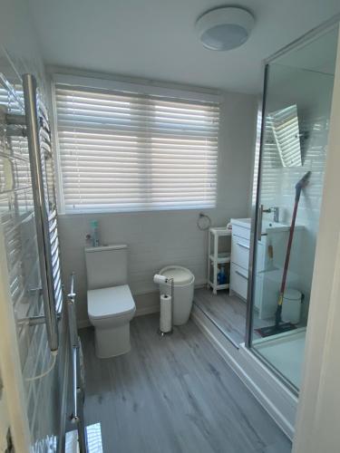 une salle de bain avec toilettes et douche en verre dans l'établissement Dart Dream, à Dartmouth