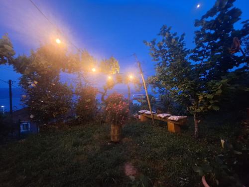 Ein Garten an der Unterkunft Taku Villa Wonderful view of Lake Ohrid