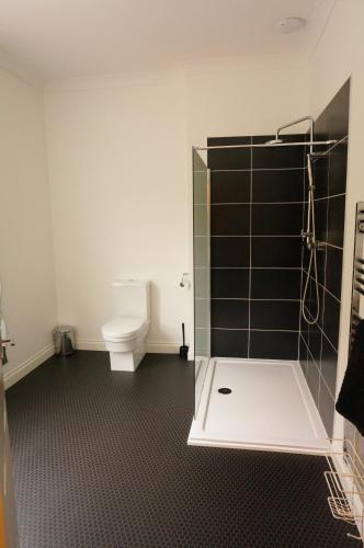 a bathroom with a toilet and a shower with black tiles at shoreside inn in Shanklin