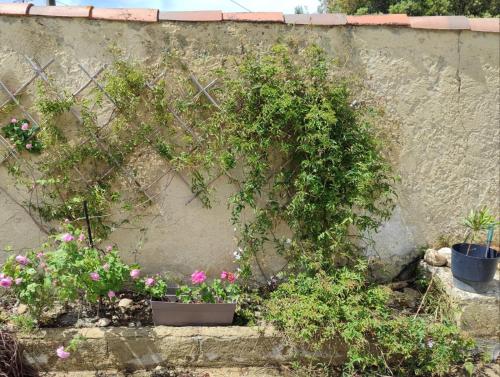 Photo de la galerie de l'établissement Chambre indépendante avec SDB privée, à Avignon
