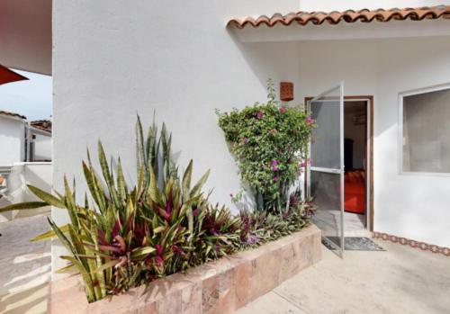 a house with plants on the side of it at Aventura Pacifico Boutique Suites & Villas in Bucerías