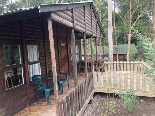 Ein Garten an der Unterkunft Plett Forest Cabins