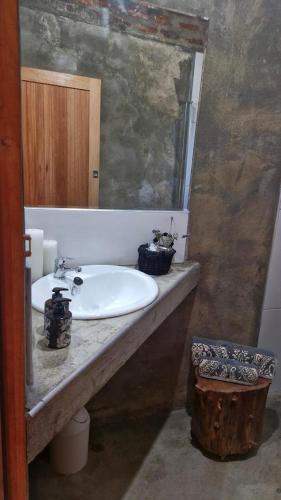 a bathroom with a sink and a mirror at Merwespont Guesthouses#DieHouthuis#Die Wyntenke#A Snoozer's Cottage# in Bonnievale