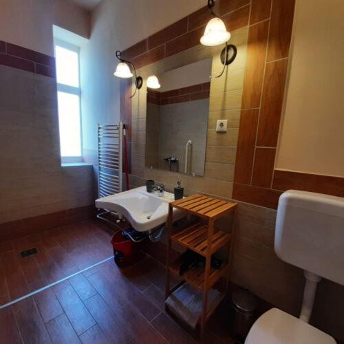 a bathroom with a sink and a toilet and a mirror at Thermália Vendégházak - Tulipán Apartman in Kaba