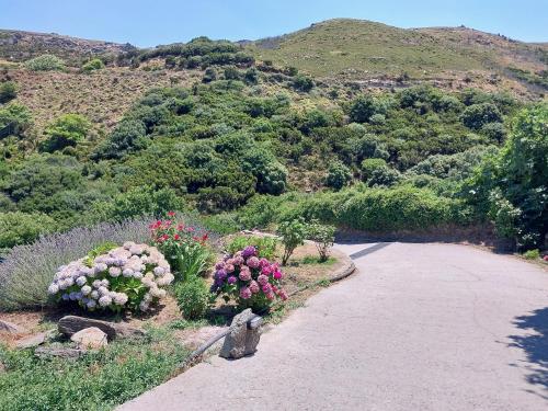 Stone House near Achla River