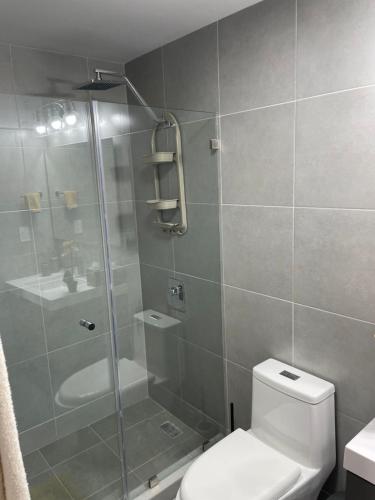 a bathroom with a shower with a toilet and a sink at Panama Pacifico PH Downtown in El Quije
