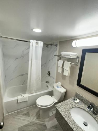 a bathroom with a toilet and a tub and a sink at Finger lakes inn & suites in Bath