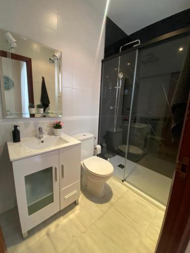 a bathroom with a toilet and a shower and a sink at Casa Doñana Golf in Matalascañas