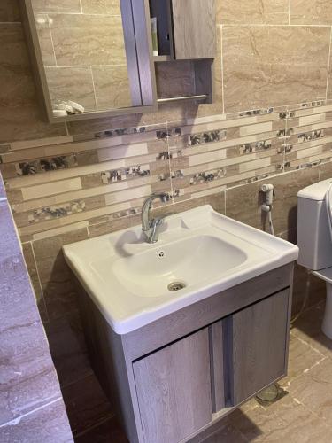 a bathroom with a sink and a toilet at Rum Royal Dunes Camp & tour in Wadi Rum