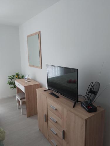 a flat screen tv sitting on top of a wooden entertainment center at Ivana apartman 3 in Lovište