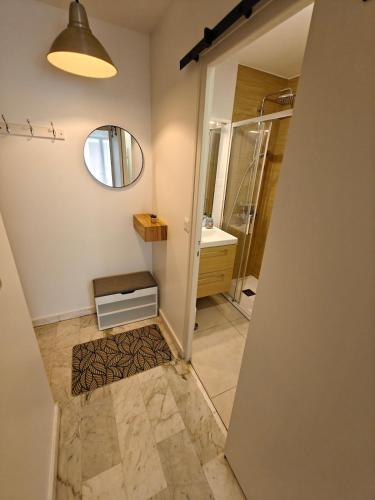 une salle de bain avec une douche, un lavabo et un miroir dans l'établissement T1 bis rénové Grenoble et parking, à Grenoble