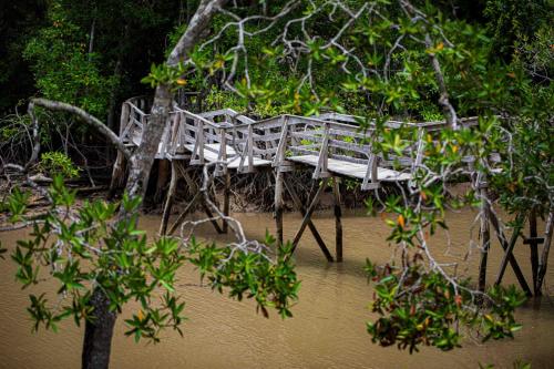 a wooden bench sitting on a bridge in the water at Beach resort playa Leona in Gigantes