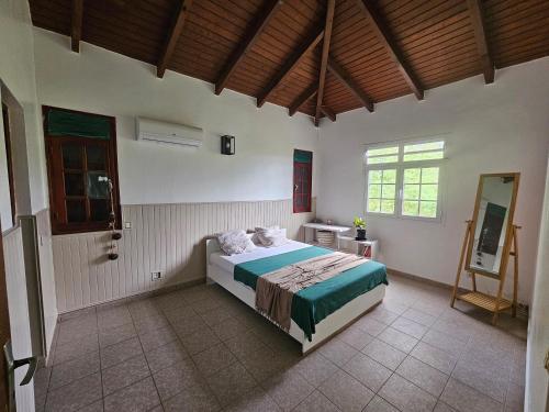 a bedroom with a large bed in a room at Zen'Nature&Chill House - Punta Cana Room in Petit-Canal