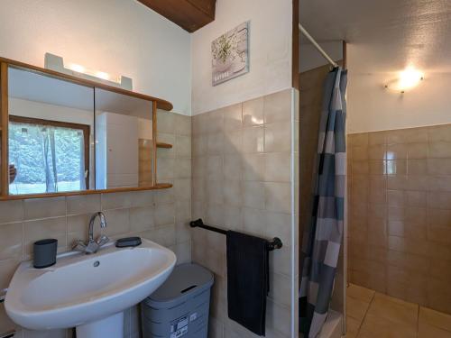 une salle de bain avec un lavabo et une douche dans l'établissement Gîte spacieux dans la Brenne, calme et nature pour 5 pers. - FR-1-591-743, à Rosnay