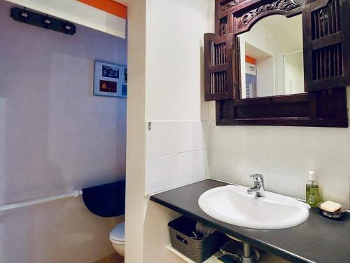 une salle de bain avec un lavabo et un miroir et des toilettes dans l'établissement Maison confortable Côte de Granit Rose avec parking - FR-1-542-75, à Trégastel