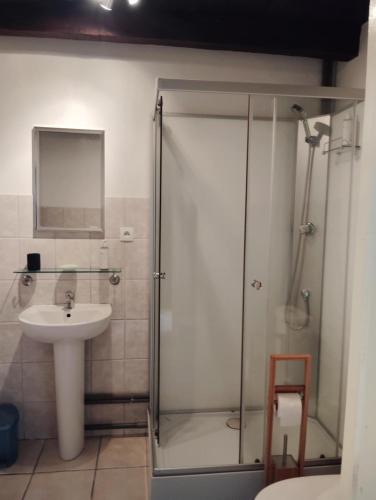 une salle de bain avec une douche en verre et un lavabo dans l'établissement Gîte et chambre d'hôtes Les Authentiques, à Saint-Estèphe