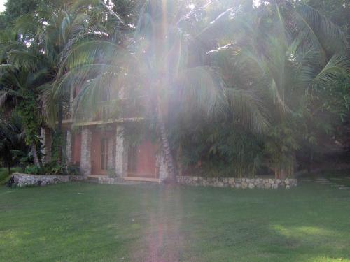 a palm tree in front of a house at Hotel Bahia Taitza in Flores
