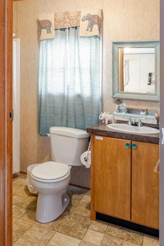 a bathroom with a toilet and a sink and a mirror at Flatt Creek Cottage in Livingston