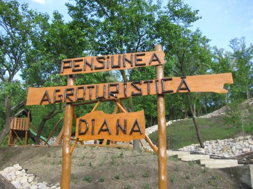 a street sign in a park with street names at Pensiunea Agroturistica Diana in Măgura