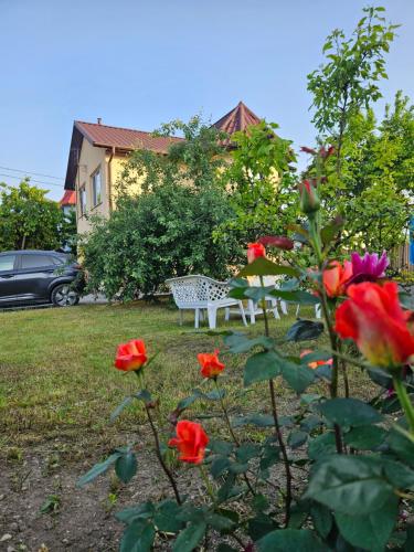 Gallery image of Royal House in Kamianets-Podilskyi