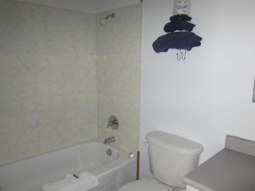 a bathroom with a toilet and a bath tub and a toilet at Bonanza Gold Motel in Dawson City