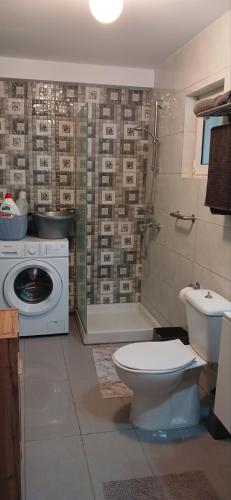 a bathroom with a toilet and a shower and a washing machine at Tsampikas House in Faliraki