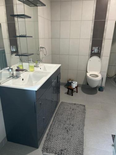 a bathroom with a sink and a toilet and a mirror at La Vigne et le Chardon in Barrais-Bussolles