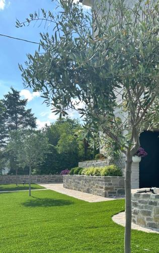 a tree in a park with green grass at Monferrato Country House Basin dAmor Casa di campagna in Asti