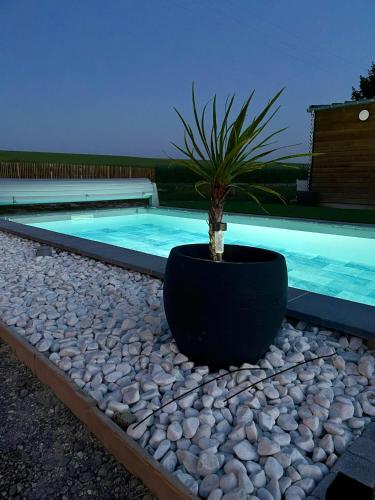 une plante en pot posée sur un rocher à côté d'une piscine dans l'établissement Lodge lady tipi, 