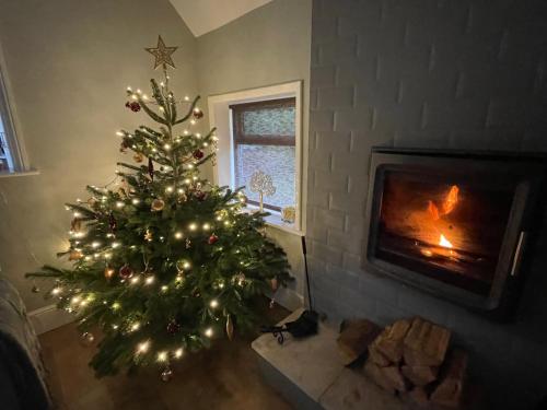 a christmas tree in a living room with a fireplace at 3 The Mews in Ryde