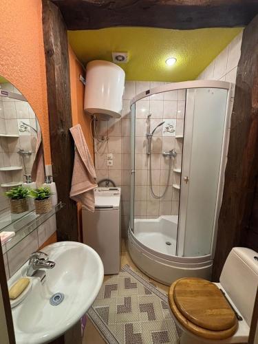 a bathroom with a shower and a sink and a toilet at Regina apartment in Ventspils