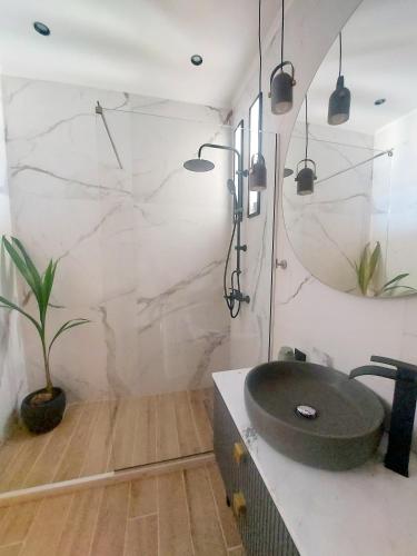 a bathroom with a sink and a potted plant at Euphoria Seafront Residence in Anissaras